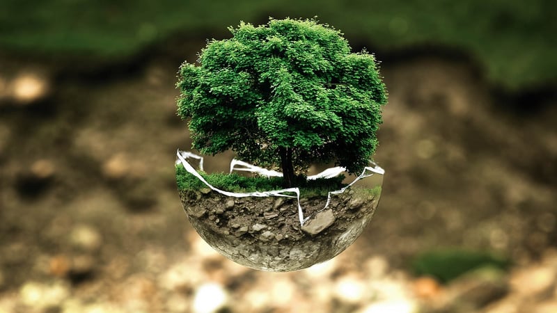 Green Living Creations